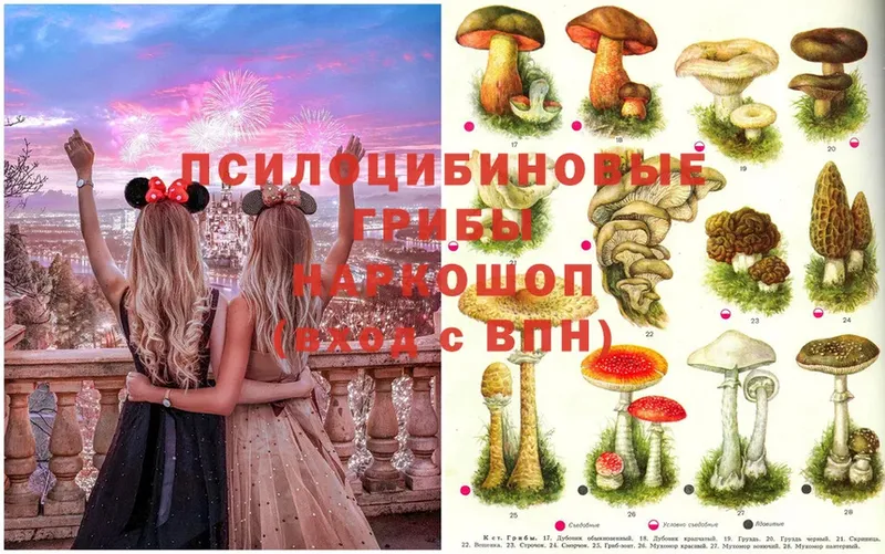 OMG как войти  Валуйки  сайты даркнета формула  Галлюциногенные грибы Cubensis 